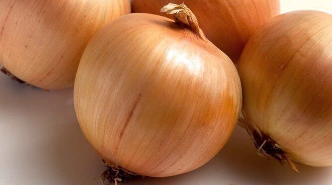 onions for worms